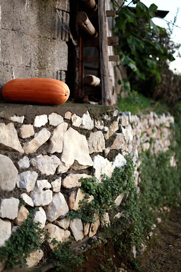 d0008146_16374450.jpg