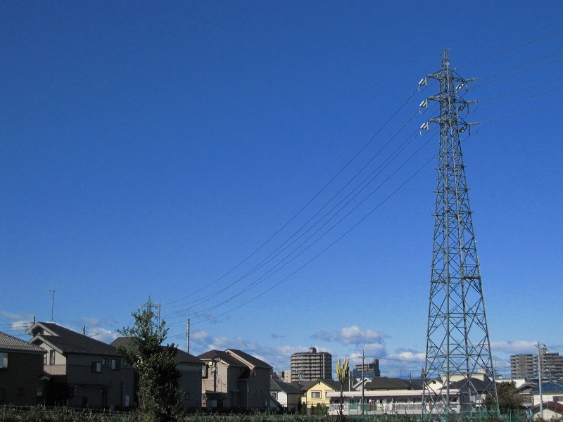 b0097747_7393462.jpg