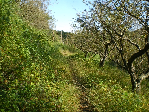 c0042847_21273869.jpg