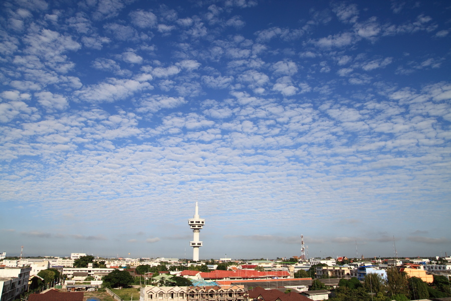a0094850_21172172.jpg