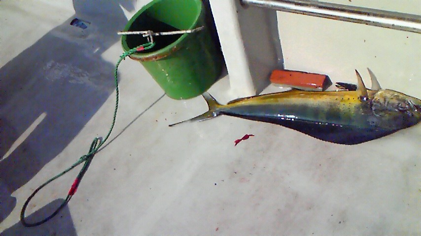 c0019951_2227322.jpg