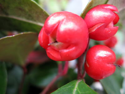 c0147952_074879.jpg