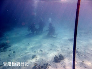 f0190653_9264688.jpg