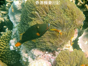 f0190653_9271724.jpg
