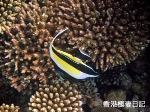 f0190653_9272883.jpg