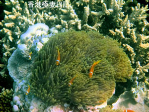 f0190653_927712.jpg