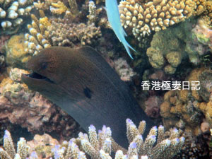 f0190653_9281215.jpg