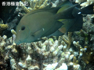 f0190653_9291843.jpg