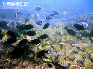 f0190653_9292867.jpg