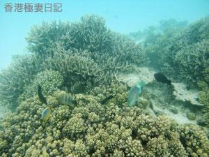 f0190653_9302710.jpg