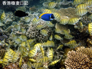 f0190653_930446.jpg