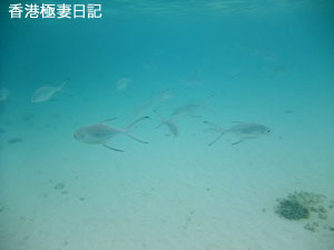 f0190653_9305139.jpg