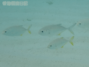 f0190653_9312421.gif