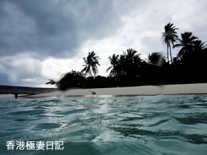 f0190653_931245.jpg