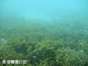 f0190653_9322310.jpg