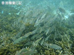 f0190653_9323860.jpg