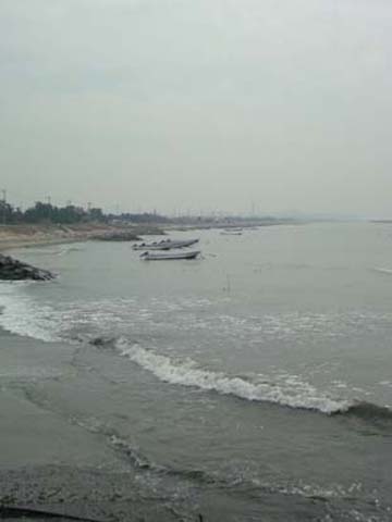 f0168256_15375637.jpg