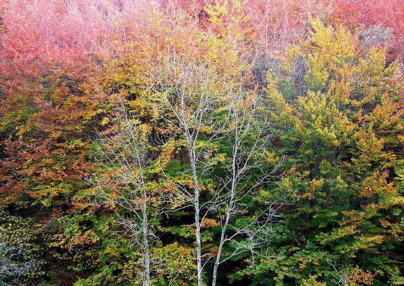 c0167359_10314291.jpg