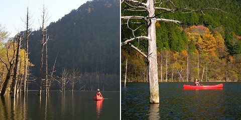 c0123363_22542641.jpg