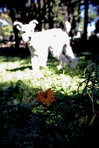 c0201763_0313065.jpg