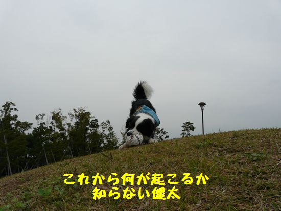 a0100564_0193152.jpg