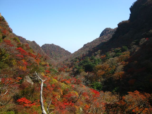 c0042869_20314168.jpg