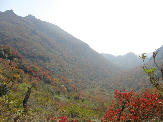 c0042869_20361116.jpg