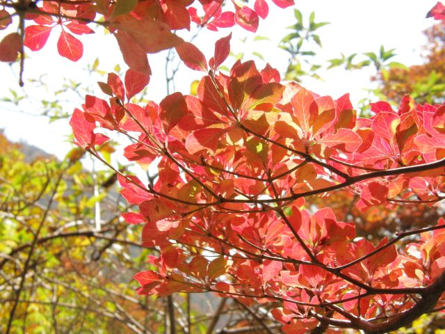 c0042869_20384495.jpg