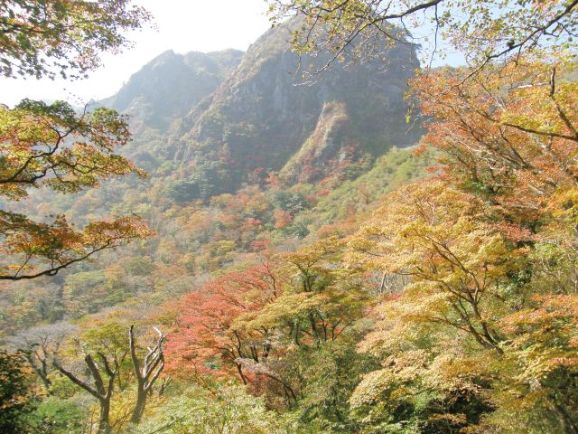 c0042869_20392572.jpg