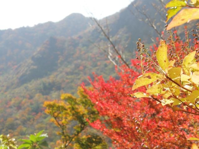 c0042869_203979.jpg