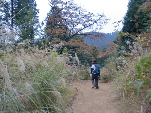 b0172670_2125378.jpg