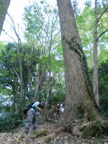 b0172670_2132229.jpg