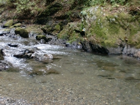 b0172670_2144510.jpg