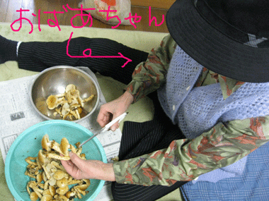 d0050871_1953747.gif