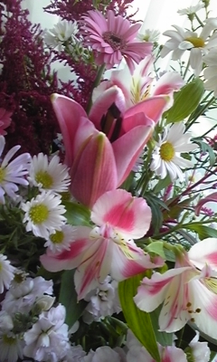 c0061774_17585679.jpg
