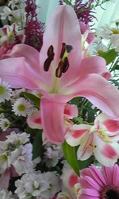 c0061774_17591886.jpg
