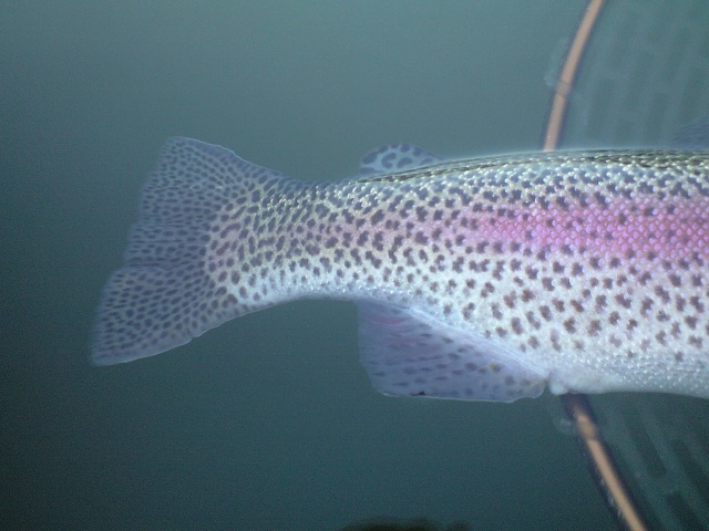 a0093677_1442521.jpg