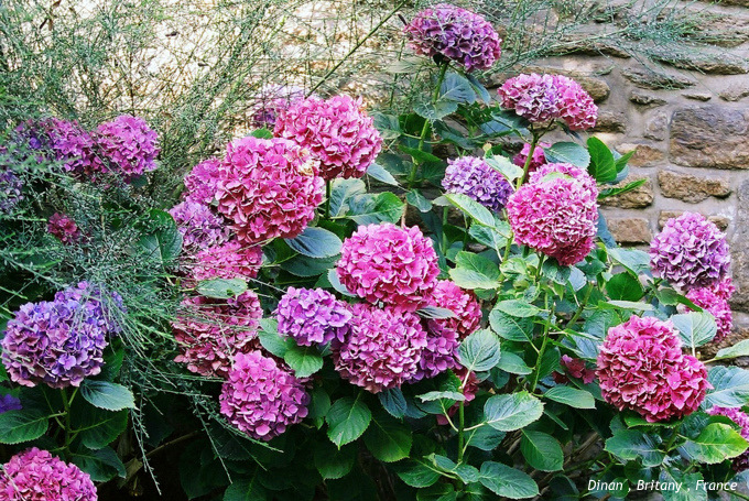 b0178479_1856553.jpg