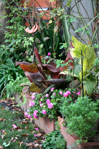 e0154682_2120476.jpg