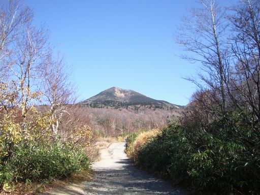 c0144683_2033642.jpg