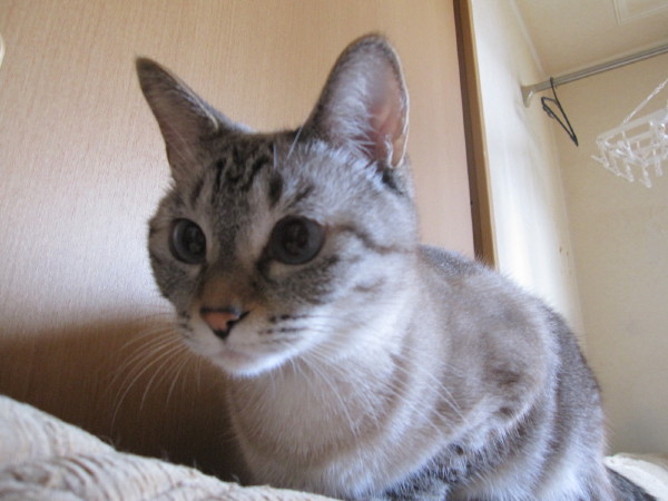 e0185485_2011799.jpg