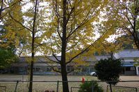 f0053885_2382587.jpg