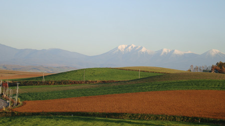 b0142688_9545813.jpg