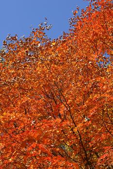 a0091891_22114130.jpg