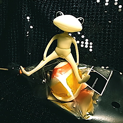 c0199295_23122573.jpg