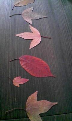 c0062796_9465737.jpg