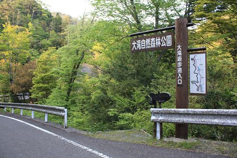 b0125397_8274784.jpg