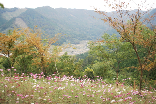 c0129498_23541479.jpg