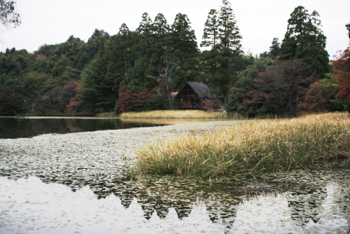 c0129498_23543570.jpg