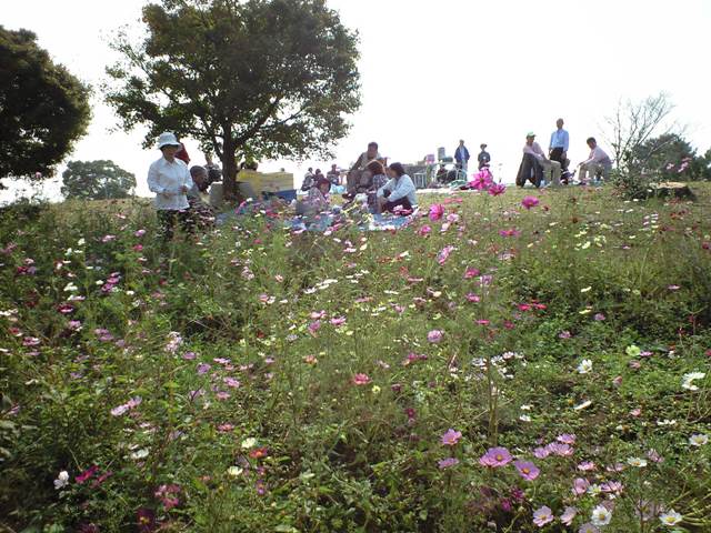 f0187099_16541592.jpg